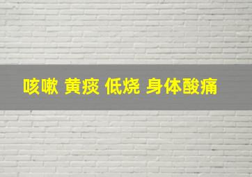 咳嗽 黄痰 低烧 身体酸痛